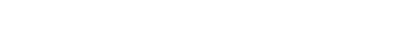 SoftVision.ai